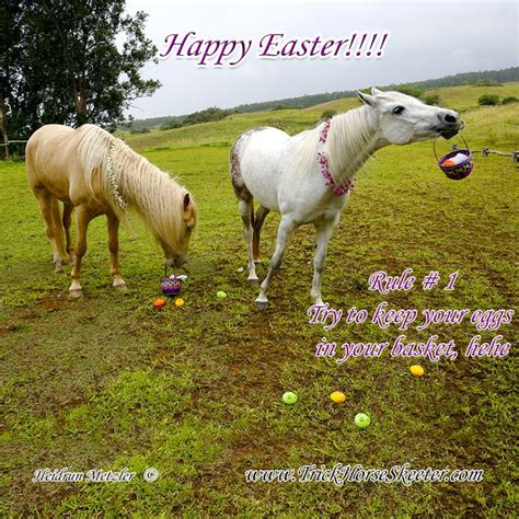 easter horse pictures|happy easter images with horses.